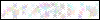 Auth Image